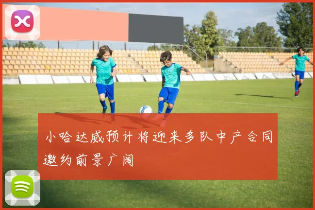 小哈达威预计将迎来多队中产合同邀约前景广阔